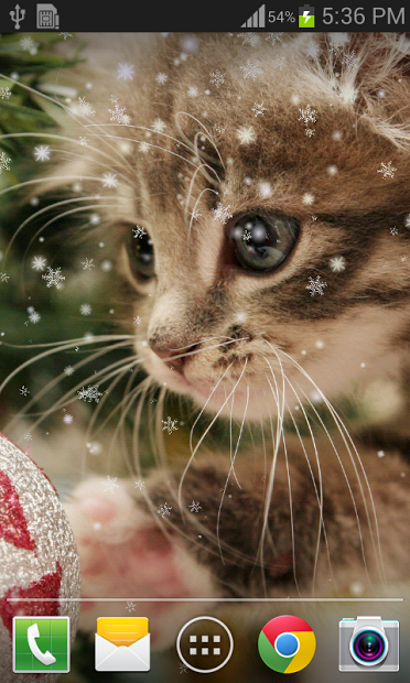 Christmas Cat Live Wallpaper