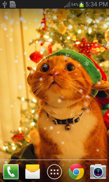 Christmas Cat Live Wallpaper