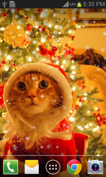 Christmas Cat Live Wallpaper