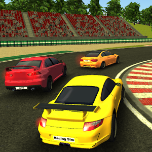 Racing Simulator 1.24.189